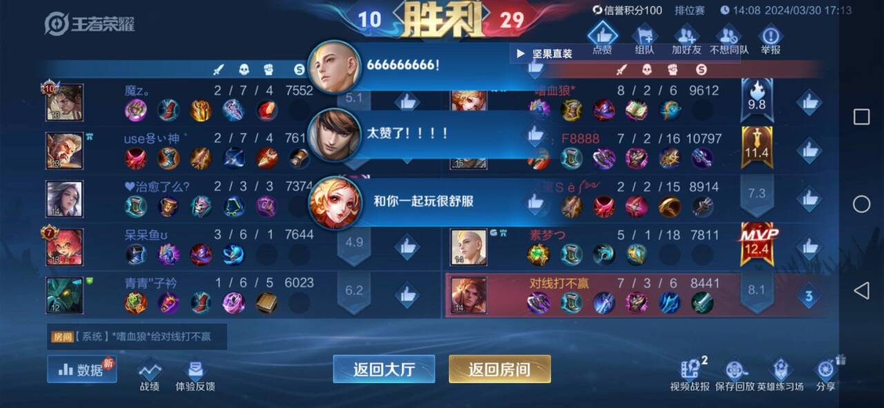 王者荣耀「TS终端」辅助