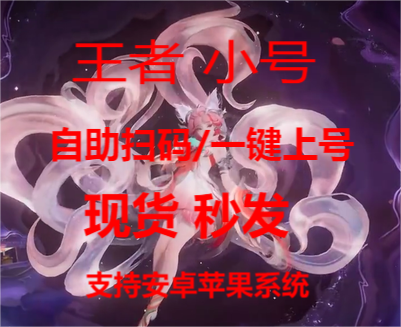 王者荣耀【战神ZS】外挂